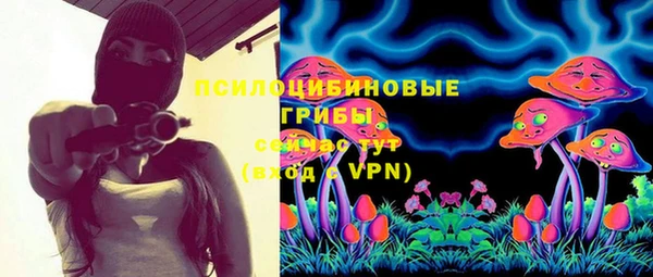 тгк Аркадак