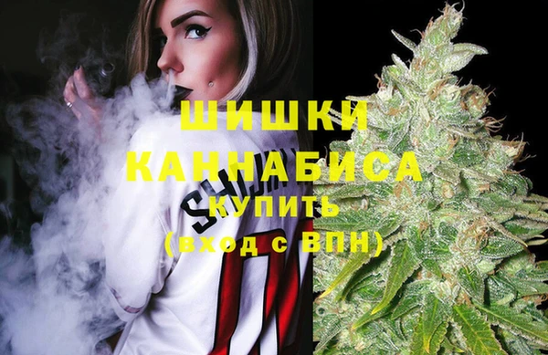 тгк Арсеньев